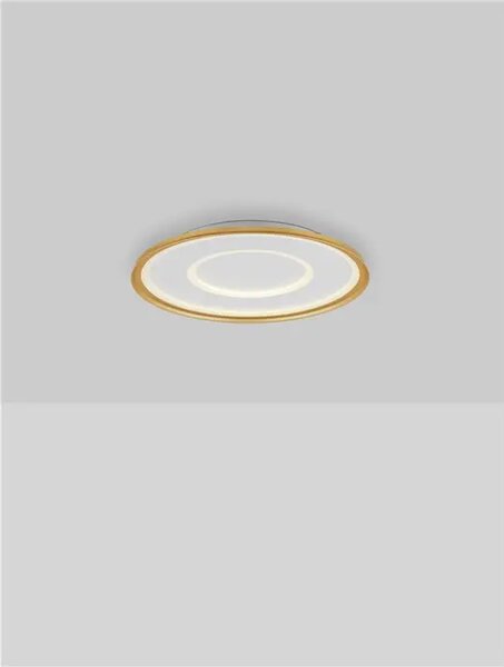 STROPNA SVETILKA FIGIN LED/2700-5000K/40W/2244Lm/ZLATA NL9248179