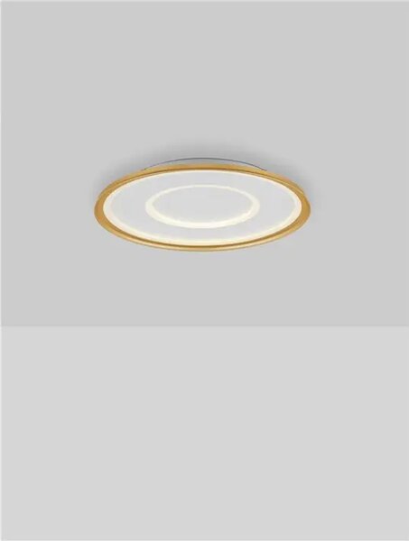 STROPNA SVETILKA FIGIN LED/2700-5000K/49W/2771Lm/ZLATA NL9248178