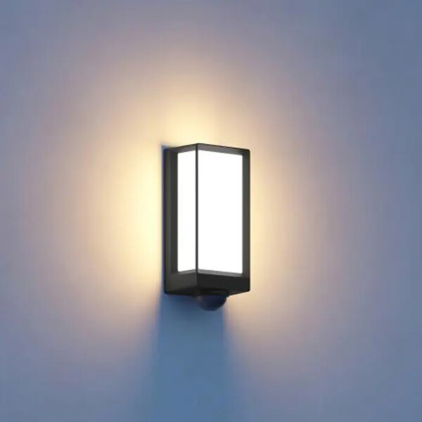 LED ZUNANJA STENSKA SVETILKA S SENZORJEM IN BLUETOOTH L 42 SC ANTRACIT 13W 3000K 889lm L42 SC ANT