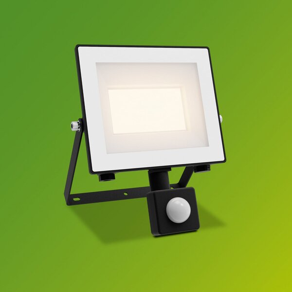 Philips LED zunanji reflektor Lois UE senzor, 14 W, 3.000 K IP65, Siva, Aluminij