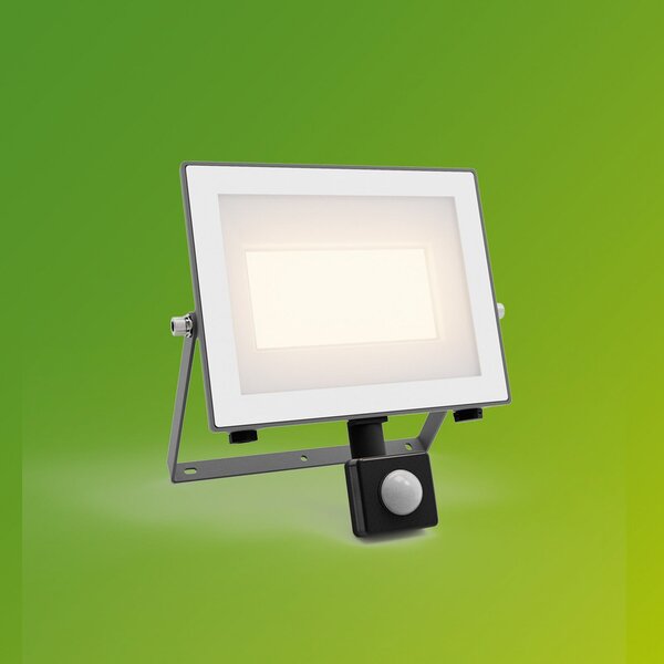 Philips LED zunanji reflektor Lois UE senzor, 24 W, 3.000 K IP65, Siva, Aluminij