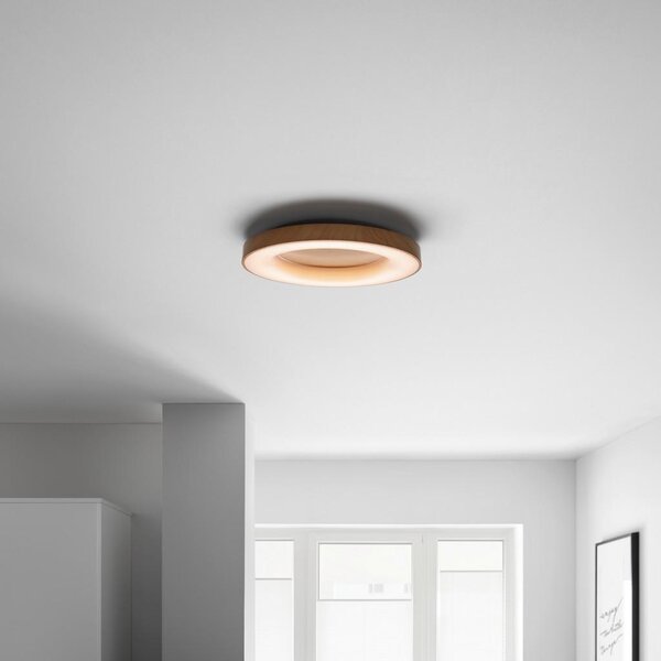 Premium Living Stropna Led-svetilka Luzia -Jub-, 43,3 W
