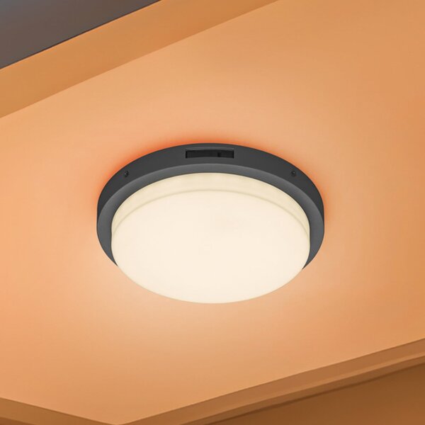 Trio Lighting LED zunanja stenska svetilka Bermejo, okrogla, senzor, CCT, antracit, Siva, Kovina