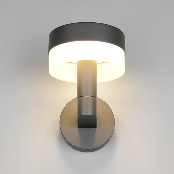 Trio Lighting LED zunanja stenska svetilka Mackenzie, antracit, litega aluminija, Siva, Aluminij, Sodobni