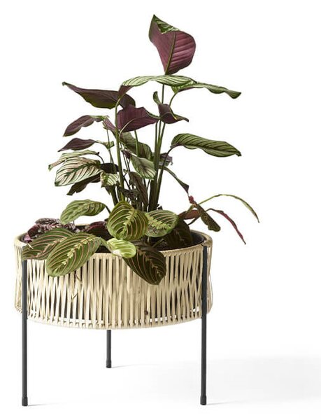 Audo CopenhagenAudo Copenhagen - Umanoff Planter H:325 Menu