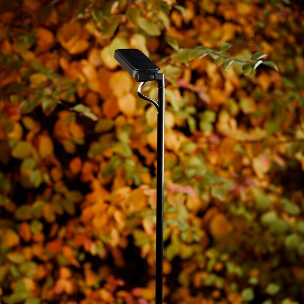 Luceplan LED ulična svetilka Flia, višina 180 cm, črna, plastika, Črna, Plastika, Dizajn