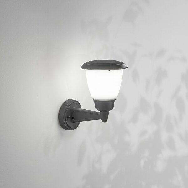 Fabas Luce Zunanja stenska svetilka Thiago, temno siva, kovina, 20 cm, E27, IP54, zatemnjen, Črna, Aluminij, Sodobni