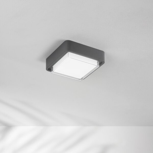 Fabas Luce LED zunanja stropna svetilka Diuk, temno siva, kovina, IP65, Črna, Aluminij, Sodobni