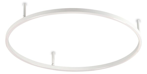 IDEAL LUX Ideal Lux LED stropna svetilka Oracle Slim Ø 70 cm, bela, 3.000 K, Bela, Dnevna soba / jedilnica, Aluminij, Sodobni