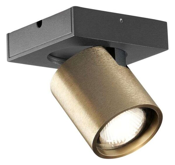 Light-PointLIGHT-POINT - Focus Mini 1 LED Stropna Svetilka 3000K Brass LightPoint