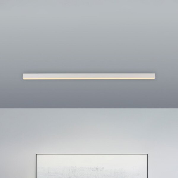 PURE LED stropna svetilka Lines, bela, 110 cm, CCT, daljinski upravljalnik, zatemnjen, Bela, Dnevna soba / jedilnica, Kovina, Sodobni