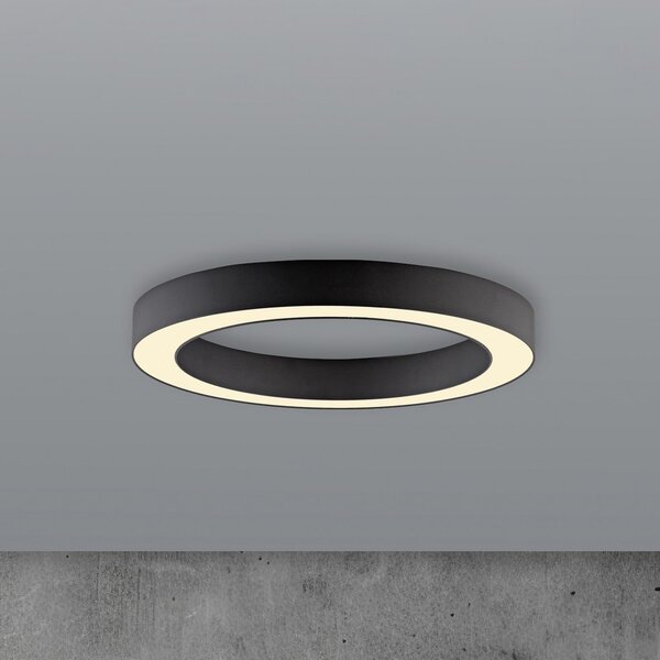PURE LED-stropna svetilka Lines, premer 35 cm, grafitna, CCT, daljinski, zatemnjen, Črna, Dnevna soba / jedilnica, Kovina, Sodobni