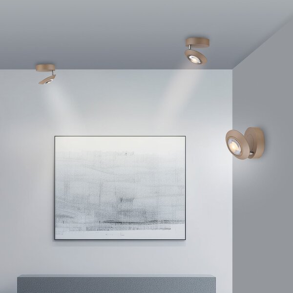 PURE LED-stropna svetilka Oculis v bronasti barvi, premer 15 cm, železo/steklo, zatemnjen, Bronasta / starinska medenina, Dnevna soba / jedilnica, Kovina, Sodobni