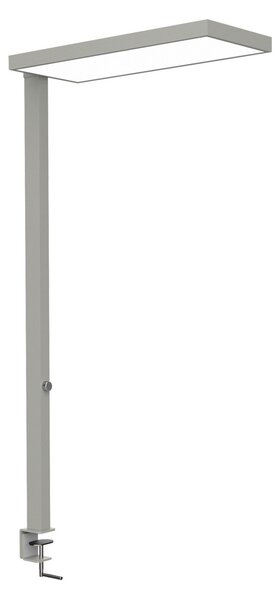 Maul LED-svetilka MAULjura, srebrna, z možnostjo zatemnitve, 100 cm, zatemnjen, Kovinska, Študija / pisarna, Aluminij, Sodobni