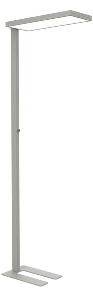 Maul LED pisarniška stoječa svetilka MAULjura, srebrna, aluminij, 196,5 cm, zatemnjen, Kovinska, Študija / pisarna, Aluminij, Sodobni