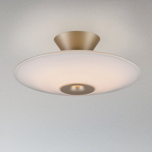 Paul Neuhaus LED stropna svetilka Elipsa, bela/bronasta, Ø 35 cm, zatemnjen, Bronasta / starinska medenina, Dnevna soba / jedilnica, Steklo
