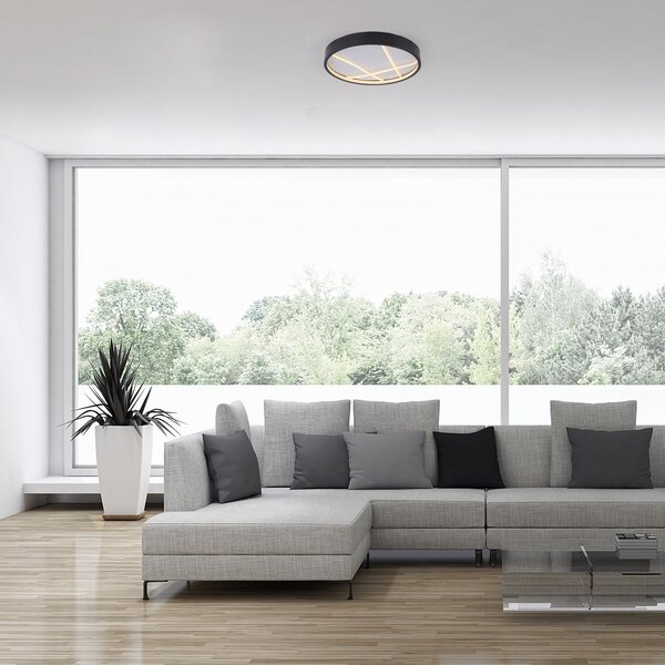JUST LIGHT. GmbH LED stropna svetilka Mikado, Ø 40 cm, črna, zatemnjen, Črna, Dnevna soba / jedilnica, Kovina, Sodobni