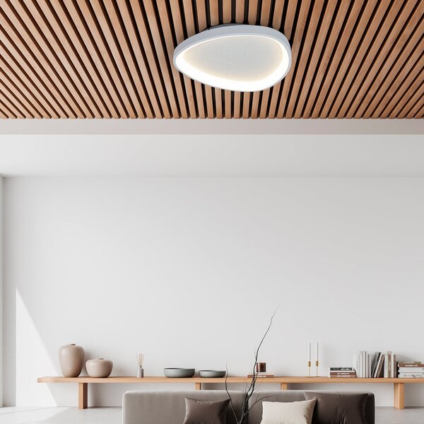 Näve LED stropna svetilka Argesa Ø 60,5 cm, bela, CCT, daljinski upravljalnik, zatemnjen, Bela, Dnevna soba / jedilnica, Kovina, Sodobni