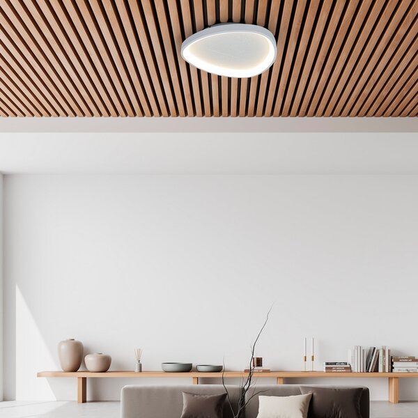 Näve LED stropna svetilka Argesa, Ø 42 cm, bela, CCT, daljinski upravljalnik, zatemnjen, Bela, Dnevna soba / jedilnica, Kovina, Sodobni