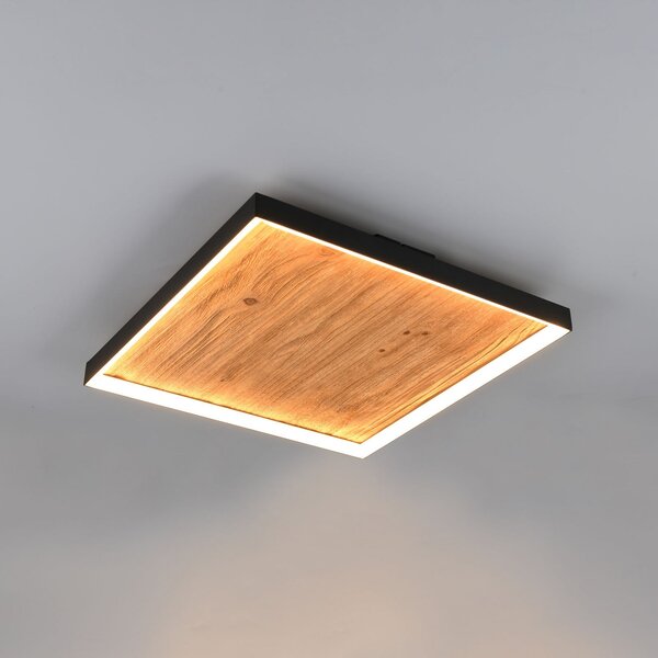 Trio Lighting LED stropna svetilka Kalea, dolžina 45 cm, barva lesa, les, zatemnjen, Les, Dnevna soba / jedilnica, Les
