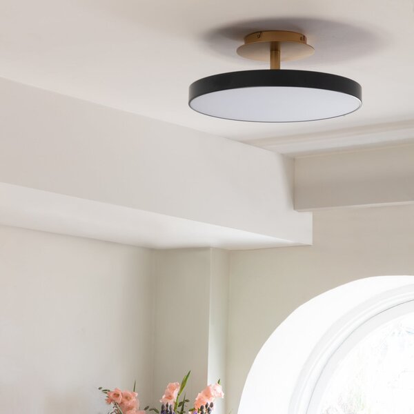 UMAGE LED stropna svetilka Asteria UP PLUS, antracit Ø 60 cm CCT, zatemnjen, Črna, Dnevna soba / jedilnica, Kovina, Dizajn
