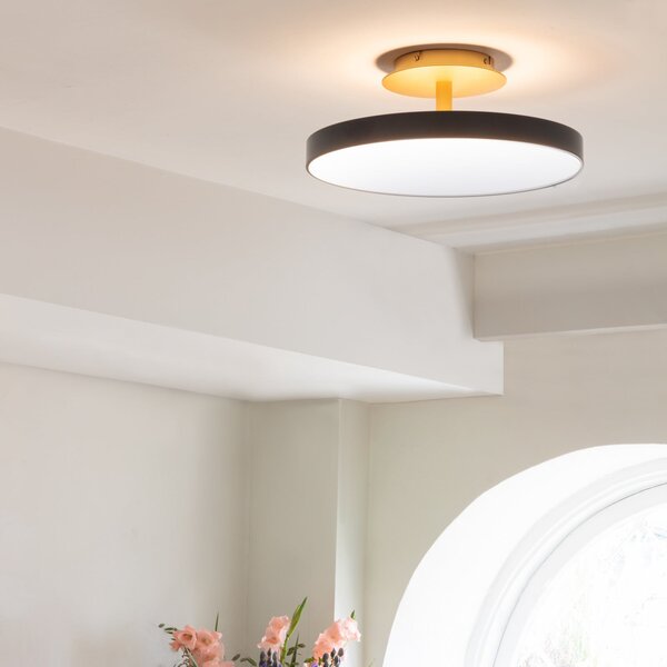 UMAGE LED stropna svetilka Asteria UP PLUS, antracit Ø 43 cm CCT, zatemnjen, Črna, Dnevna soba / jedilnica, Kovina, Dizajn