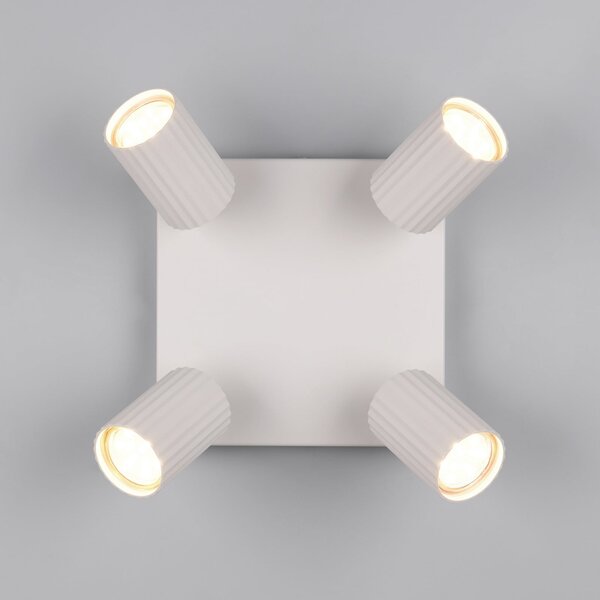 Trio Lighting Stropni žaromet Soka, svetlo siva, dolžina 20 cm, kovina, 4-krilni., zatemnjen, Siva, Dnevna soba / jedilnica, Kovina, Sodobni