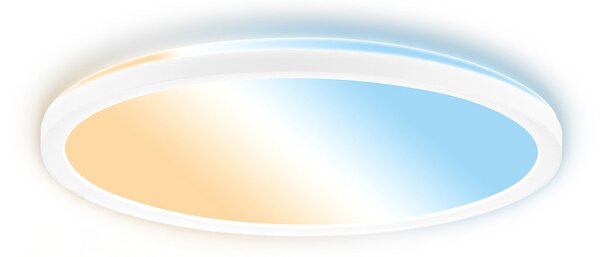 Briloner LED stropna svetilka Tava A, CCT, Ø 29 cm, bela, daljinski upravljalnik, zatemnjen, Bela, Študija / pisarna, Plastika