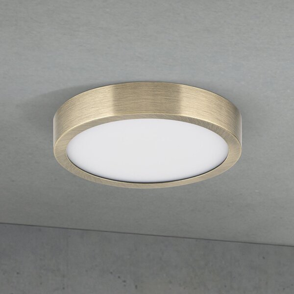 ORION LED stropna svetilka Disc, starinsko medenina, Ø 14 cm, CCT, zatemnjen, Bronasta / starinska medenina, Dnevna soba / jedilnica, Aluminij, Sodobni