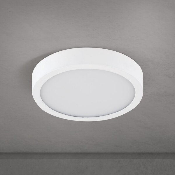 ORION LED stropna svetilka Disc, bela Ø 14 cm, CCT, kovina/plastika, zatemnjen, Bela, Dnevna soba / jedilnica, Aluminij, Sodobni