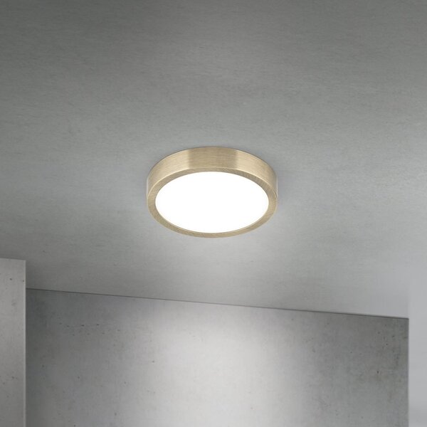 ORION LED stropna svetilka Disc, starinsko medenina, Ø 14 cm, CCT, zatemnjen, Bronasta / starinska medenina, Dnevna soba / jedilnica, Aluminij, Sodobni