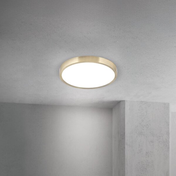 ORION LED stropna svetilka Disc, starinsko medenina, Ø 24 cm, CCT, zatemnjen, Bronasta / starinska medenina, Dnevna soba / jedilnica, Aluminij, Sodobni