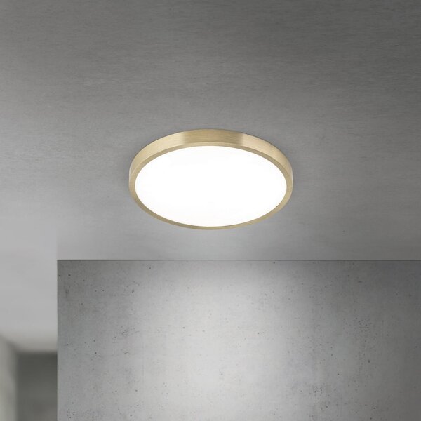 ORION LED stropna svetilka Disc, starinsko medenina, Ø 28 cm, CCT, zatemnjen, Bronasta / starinska medenina, Dnevna soba / jedilnica, Aluminij, Sodobni