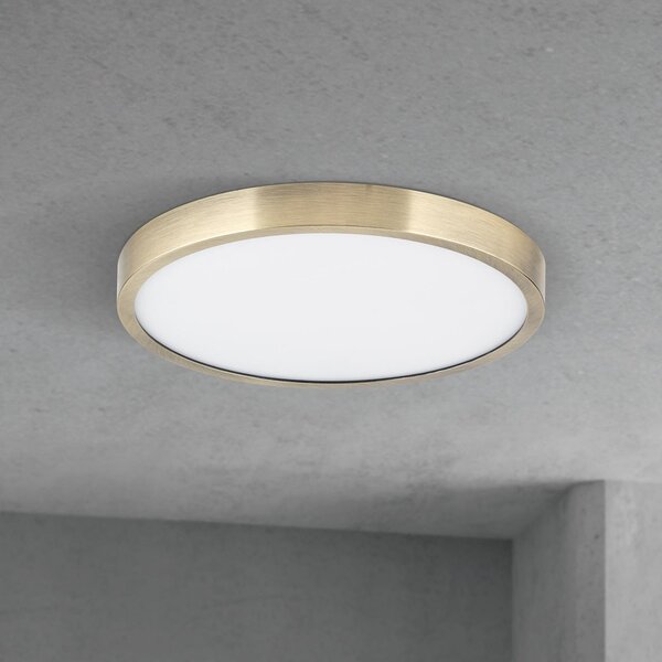 ORION LED stropna svetilka Disc, starinsko medenina, Ø 24 cm, CCT, zatemnjen, Bronasta / starinska medenina, Dnevna soba / jedilnica, Aluminij, Sodobni