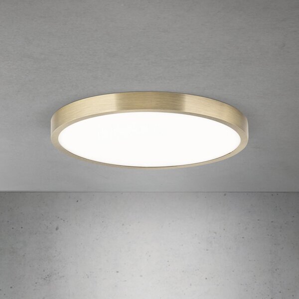 ORION LED stropna svetilka Disc, starinsko medenina, Ø 28 cm, CCT, zatemnjen, Bronasta / starinska medenina, Dnevna soba / jedilnica, Aluminij, Sodobni