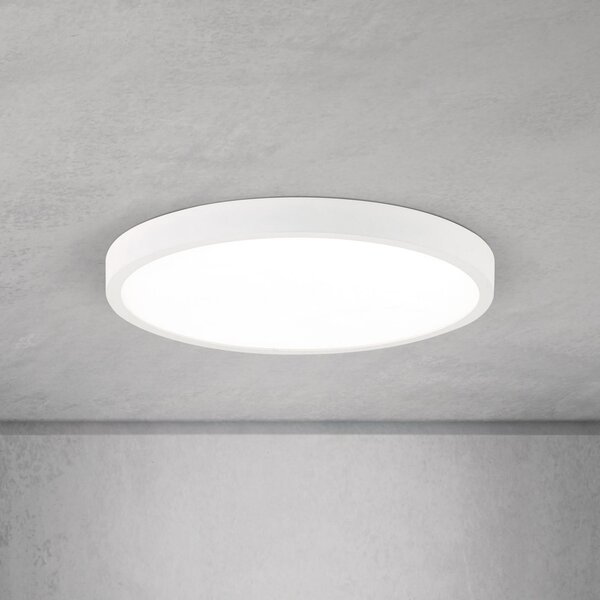ORION LED stropna svetilka Disc, bela Ø 28 cm, CCT, kovina/plastika, zatemnjen, Bela, Dnevna soba / jedilnica, Aluminij, Sodobni