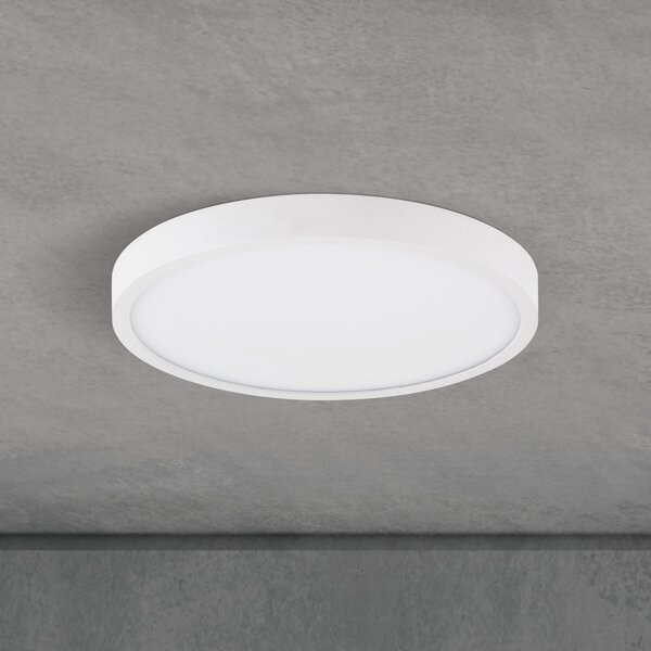 ORION LED stropna svetilka Disc, bela Ø 24 cm, CCT, kovina/plastika, zatemnjen, Bela, Dnevna soba / jedilnica, Aluminij, Sodobni