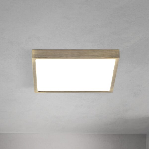 ORION LED stropna svetilka Disc, barva starega medenine, dolžina 24 cm, CCT, zatemnjen, Bronasta / starinska medenina, Dnevna soba / jedilnica, Aluminij, Sodobni