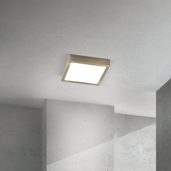 ORION LED stropna svetilka Disc, barva starega medenine, dolžina 14 cm, CCT, zatemnjen, Bronasta / starinska medenina, Dnevna soba / jedilnica, Aluminij, Sodobni