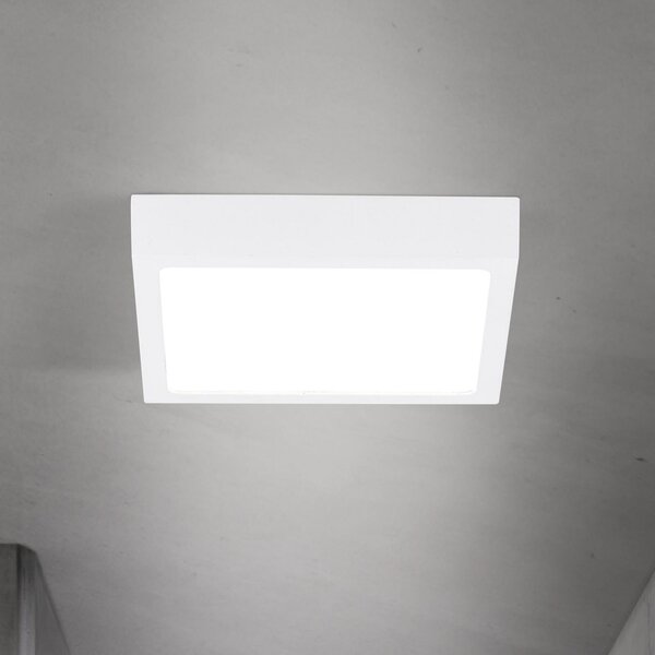 ORION LED stropna svetilka Disc, bela, dolžina 14 cm, CCT, kovina, zatemnjen, Bela, Dnevna soba / jedilnica, Aluminij, Sodobni