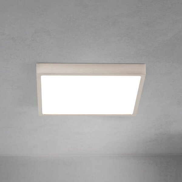 ORION LED stropna svetilka Disc, nikljevo satinirana, dolžina 24 cm CCT, zatemnjen, Kovinska, Dnevna soba / jedilnica, Aluminij, Sodobni