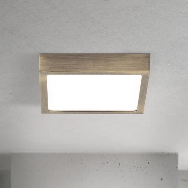 ORION LED stropna svetilka Disc, barva starega medenine, dolžina 14 cm, CCT, zatemnjen, Bronasta / starinska medenina, Dnevna soba / jedilnica, Aluminij, Sodobni