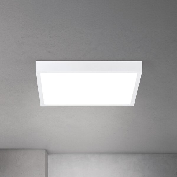 ORION LED stropna svetilka Disc, bela Dolžina 40 cm CCT Kovina/plastika, zatemnjen, Bela, Dnevna soba / jedilnica, Aluminij, Sodobni