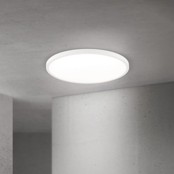 ORION LED stropna svetilka Disc, bela Ø 60 cm, CCT, kovina/plastika, zatemnjen, Bela, Dnevna soba / jedilnica, Aluminij, Sodobni