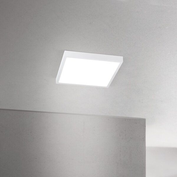 ORION LED stropna svetilka Disc, bela, dolžina 24 cm, CCT, kovina, zatemnjen, Bela, Dnevna soba / jedilnica, Aluminij, Sodobni