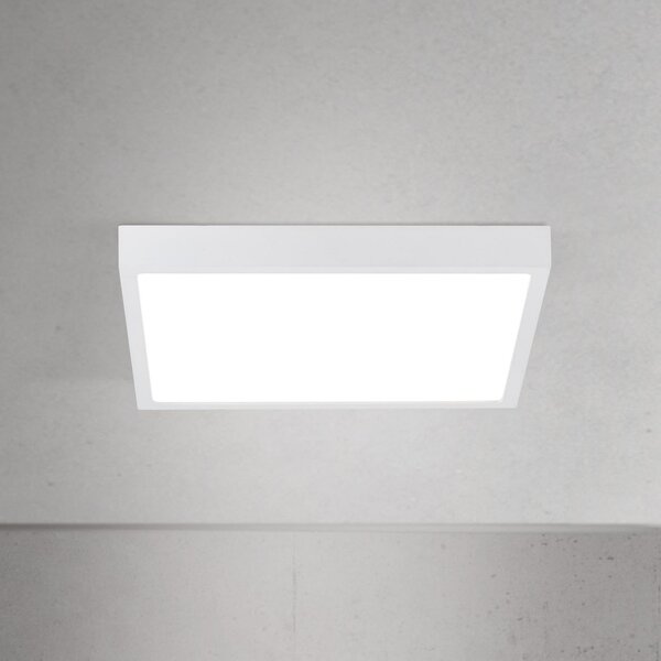 ORION LED stropna svetilka Disc, bela, dolžina 24 cm, CCT, kovina, zatemnjen, Bela, Dnevna soba / jedilnica, Aluminij, Sodobni