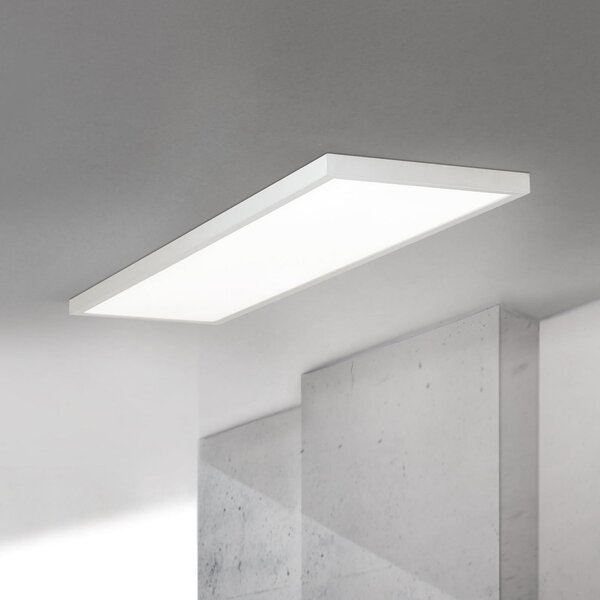 ORION LED stropna svetilka Disc, bela, dolžina 115 cm, CCT, kovina, zatemnjen, Bela, Dnevna soba / jedilnica, Aluminij, Sodobni