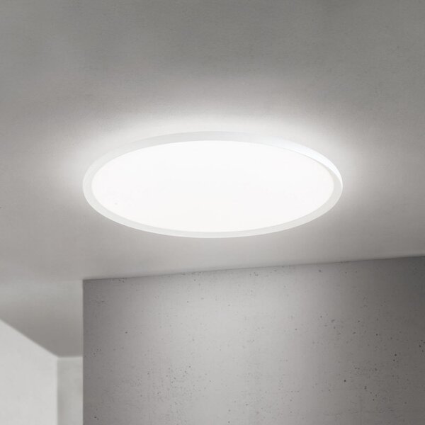 ORION LED stropna svetilka Kant, Ø 80 cm, bela, CCT, kovina/plastika, zatemnjen, Bela, Dnevna soba / jedilnica, Aluminij, Sodobni