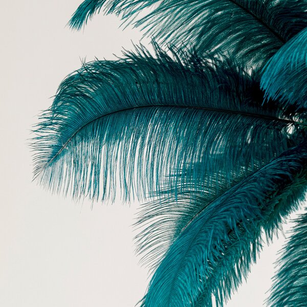 KARE Kare viseča svetilka Feather Palm, zelena, perje, Ø 87 cm, G9, zatemnjen, Zelena, Dnevna soba / jedilnica, Razno, Dizajn
