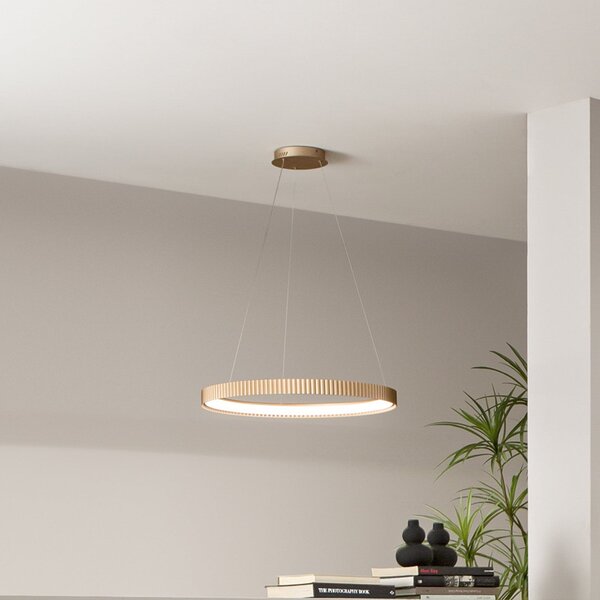 Luce Ambiente Design LED viseča svetilka Niike, zlata barva, Ø 50 cm, kovina, CCT, Zlata / medeninasta, Dnevna soba / jedilnica, Kovina, Sodobni